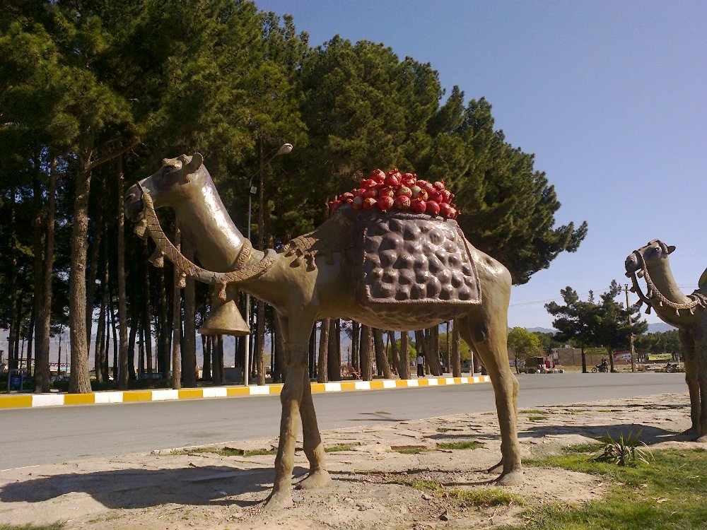 میدان مطهری کاشمر