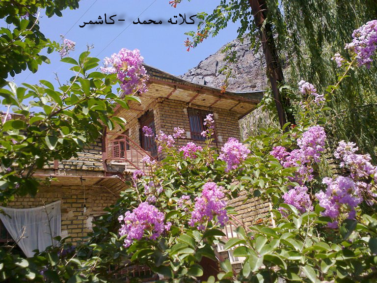 کاشمر